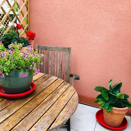 شقة Moderne Mini Maison En France Lezignan-Corbieres