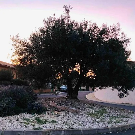 Moderne Mini Maison En France Lezignan-Corbieres * Lézignan-Corbières